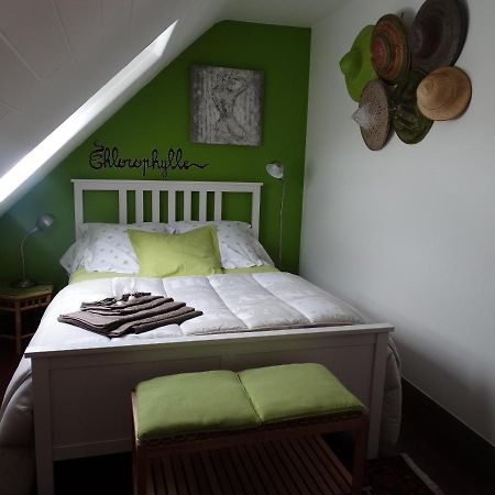 Chambres D'Hotes De La Voie Romaine Plouigneau Esterno foto